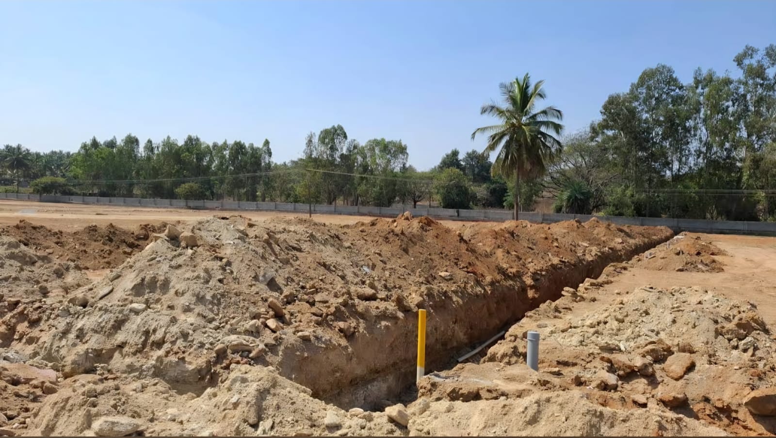 WhatsApp Image 2026-03-10 at 11.06.14 PM